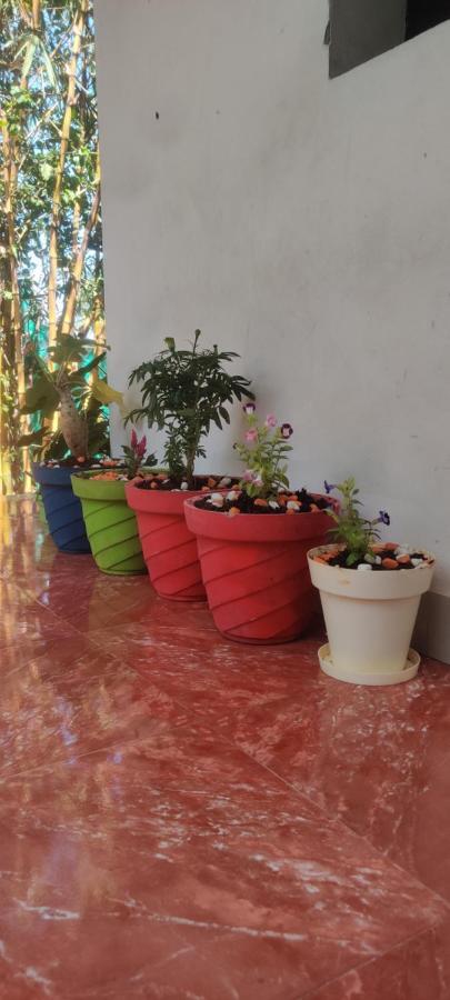 Mahabs Homestay Villa Mahabalipuram Eksteriør bilde